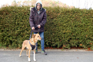 Pflegefamilie Hofmann 3