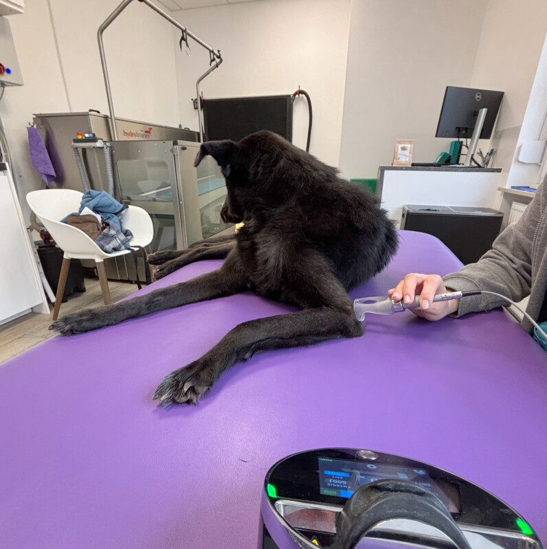 Rike Physio 4 Rike Physio 4
