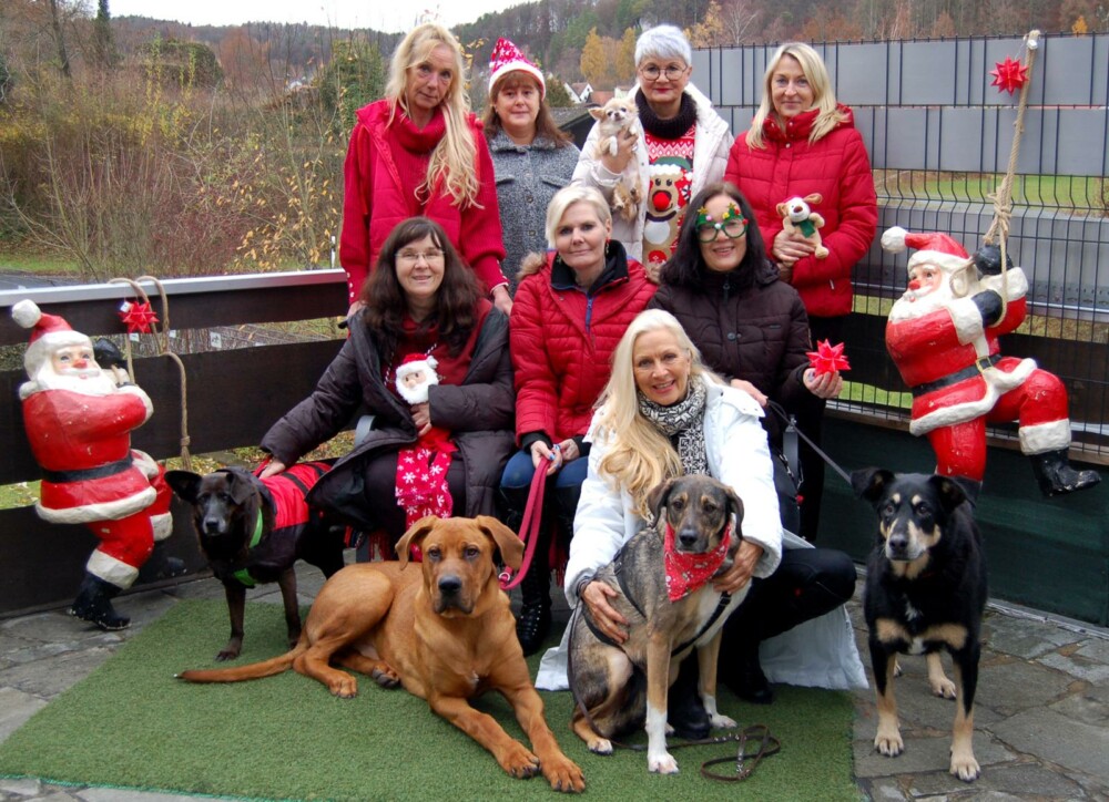 Tierhilfe Franken e.V. – Neues Jahr, neues Glück