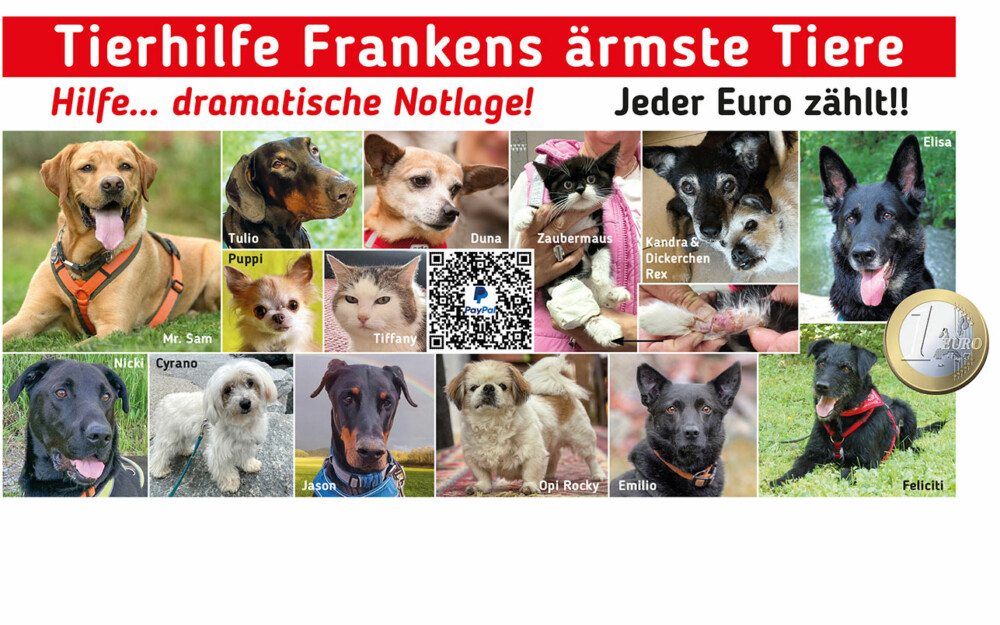 Dramatische Notlage – jeder Euro zählt!