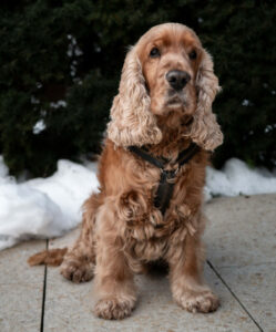 Benny Bub 1 Benny Bub 1