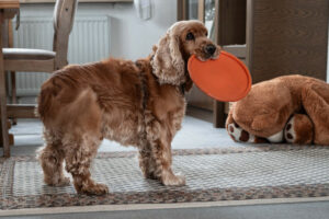 Benny Bub 3 Benny Bub 3