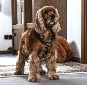 Benny Bub 6 Benny Bub 6