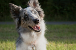 Malin Neu 1 Malin Neu 1