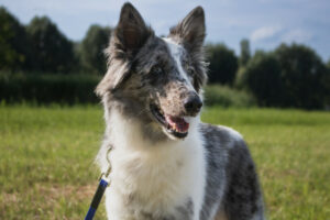 Malin Neu 10 Malin Neu 10