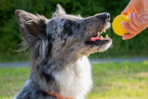 Malin Neu 11 Malin Neu 11