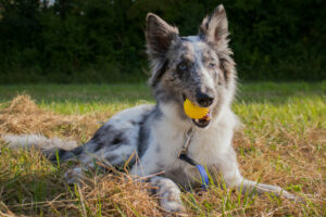 Malin Neu 12 Malin Neu 12