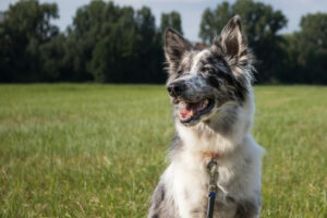 Malin Neu 13 Malin Neu 13