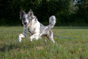 Malin Neu 15 Malin Neu 15