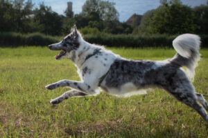 Malin Neu 16 Malin Neu 16