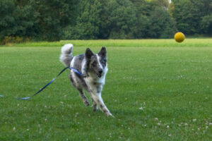 Malin Neu 17 Malin Neu 17