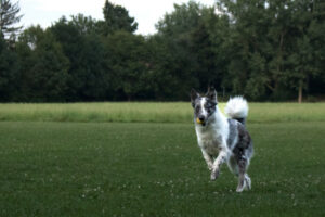 Malin Neu 18 Malin Neu 18