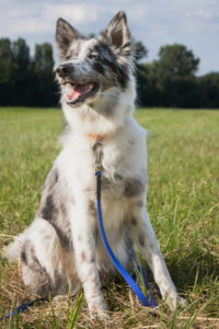 Malin Neu 3 Malin Neu 3