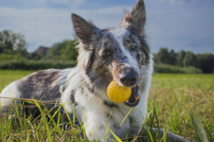 Malin Neu 4 Malin Neu 4