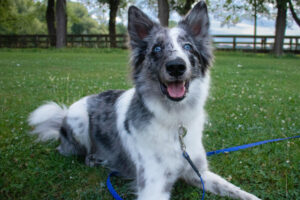 Malin Neu 5 Malin Neu 5