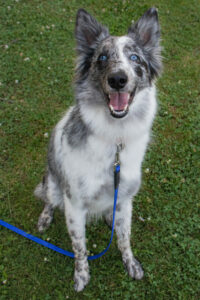 Malin Neu 6 Malin Neu 6