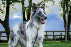 Malin Neu 7 Malin Neu 7