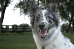 Malin Neu 8 Malin Neu 8