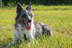 Malin Neu 9 Malin Neu 9