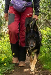 Luna läuft perfekt Luna läuft perfekt