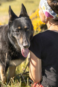 Luna SH Neu03