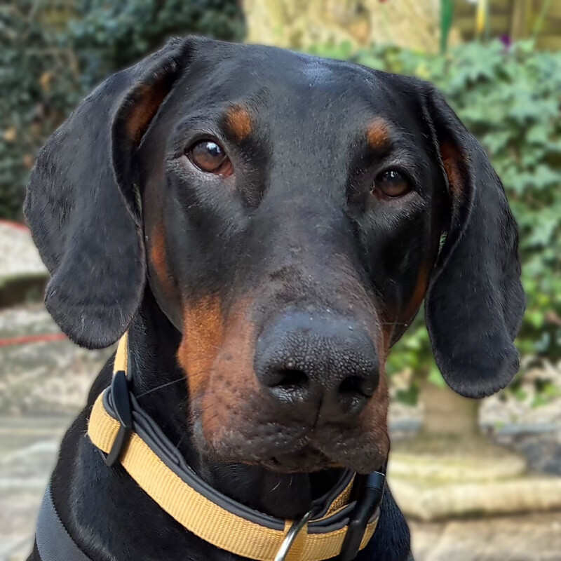 Tulio 5A Bearb Tulio 5A Bearb