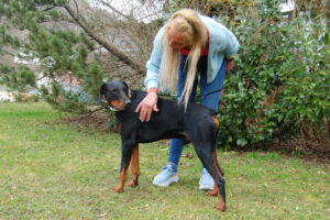 Tulio Neu 20