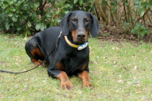 Tulio Neu 3