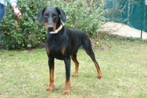 Tulio Neu 4