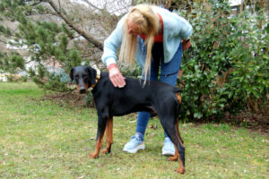Tulio Neu 7