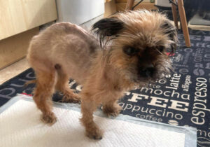 Finchen 10 Finchen 10