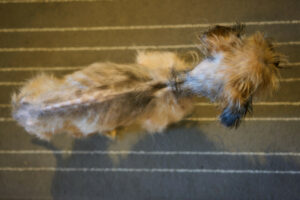 Finchen 12 Finchen 12