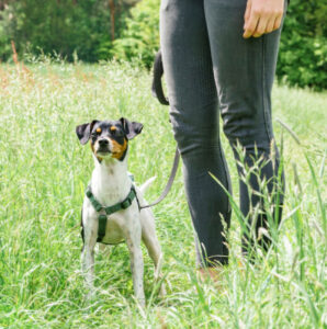 Amy Floh Neu 12