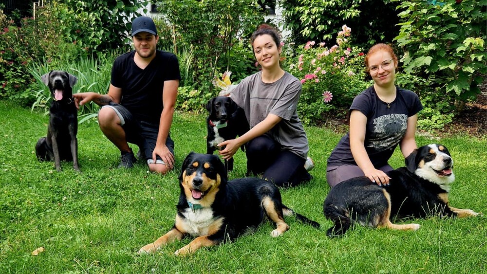 Die Tierhilfe Franken sucht Gassigeher für die tollen Hunde im Tierhilfehaus