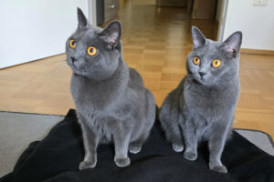 Master Shake Und Lady Ghost 1 Master Shake Und Lady Ghost 1