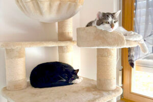 Luna Und Polly 1