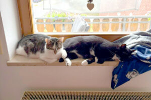 Polly Und Luna 3