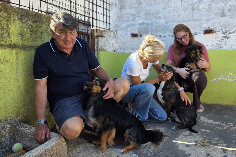 Einsatz der Tierhilfe Franken in Kroatien – doch regionaler Tierschutz steht an 1. Stelle